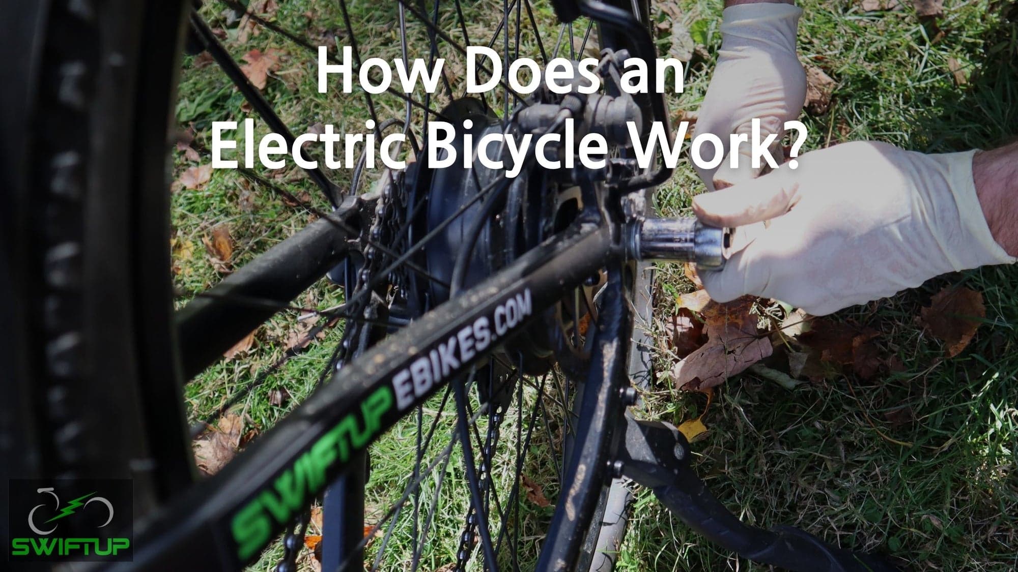 How does an electric bicycle work article image